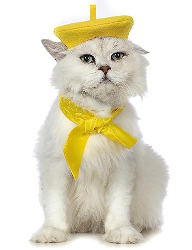 Impoosy Fancy Cat Hut mit Dame Bandana Fanny Katze Schleife Kragen Hochzeit Kätzchen Kostüm (L,Gelb) von Impoosy
