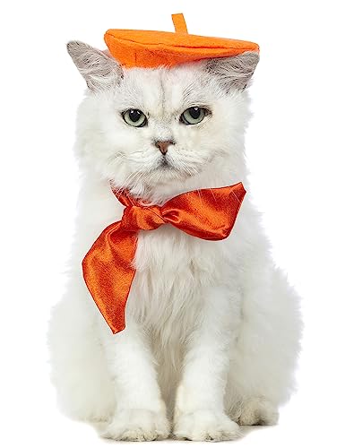 Impoosy Fancy Cat Hut mit Dame Bandana Fanny Katze Schleife Kragen Hochzeit Kätzchen Kostüm (L,Orange) von Impoosy