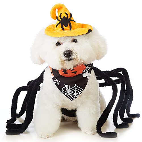 Impoosy Halloween Hundekostüm Haustier Sprider Cosplay Kleidung Lustige Halloween Hut mit Kürbis Bandanas (L) von Impoosy