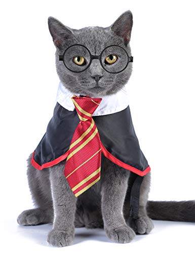 Impoosy Halloween-Katzen-Kostüm für kleine Hunde, Zauberer, Haustierkleidung, niedliche Bekleidung, Welpen-Shirts mit Brille (Medium) von Impoosy