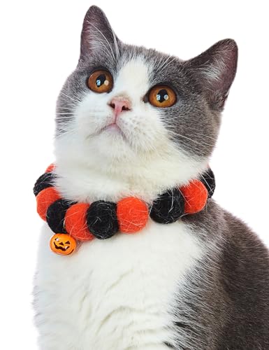 Impoosy Halloween-Katzenhalsband, mit Breakaway, Kätzchen, verstellbar, Sicherheitskürbis-Halsband mit Glocke (Kürbis) von Impoosy