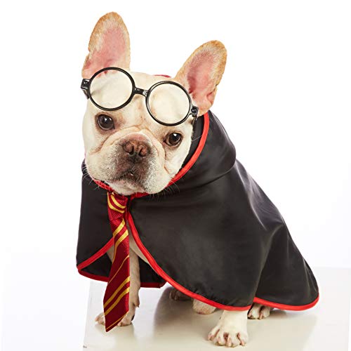 Impoosy Halloween-Kostüm für Hunde und Katzen, mit Brille (klein, Hals: 30,5 cm) von Impoosy