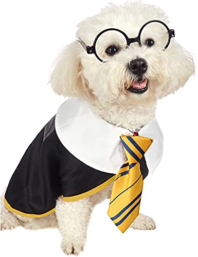 Impoosy Halloween-Shirt, lustiges Katzen-Zauberer-Kostüm, niedliche Kleidung, weiche Kleidung mit Brille (Größe M, Halsumfang: 35,6 cm) von Impoosy