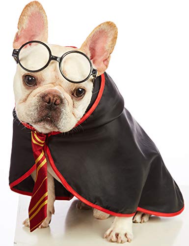 Impoosy Haustier-Hunde-Kapuzenpullover, lustiges Katzen-Zauberer-Kostüm, weiche Kleidung mit Brille, Größe M, Rot von Impoosy