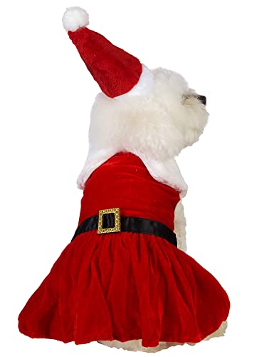 Impoosy Hunde-Weihnachtskleid, Haustier, Weihnachtsmann-Cluas-Kleidung, lustiges Tutu-Hemd, kleine Hunde, Plüsch-Rüschenkleidung (L) von Impoosy