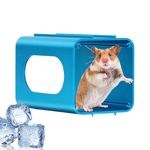 Imtrub Hamsterhöhle,Spielzeug Röhren und Tunnel für Kleintiere | Kleintier Habitat Hängedesign für Chinchillas Igel Rennmäuse Zwergkaninchen Imtrub Hamsterhöhle,Spielzeug Röhren und Tunnel für Kleintiere | Kleintier Habitat Hängedesign für Chinchillas Igel Rennmäuse Zwergkaninchen von Imtrub