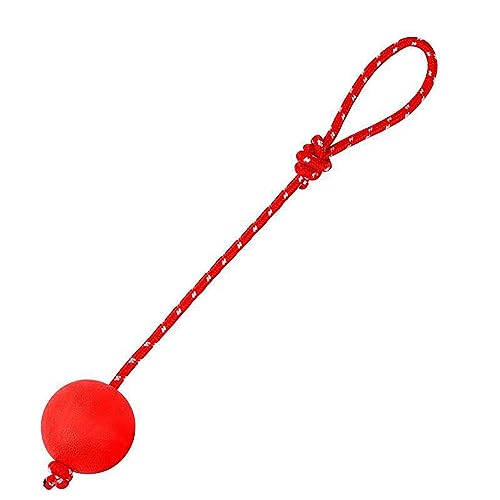 Imtrub Hundeseilball, Interaktive Gummibälle - Elastisches, solides Kauspielzeug zum Trainieren des Fangens und Apportierens, Hundespielzeug von Imtrub