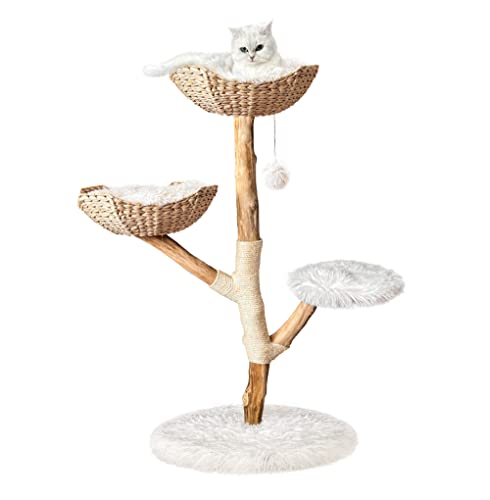 Injollylives Moderner Katzenbaum Turm, Holz Katzenturm, Schwerlast Katzenbäume für große Katzen, Einzigartiger handgefertigter ästhetischer Katzenbaum mit Echtholzzweigen, für Katzenliebhaber, Groß Injollylives Moderner Katzenbaum Turm, Holz Katzenturm, Schwerlast Katzenbäume für große Katzen, Einzigartiger handgefertigter ästhetischer Katzenbaum mit Echtholzzweigen, für Katzenliebhaber, Groß von InJollyLives