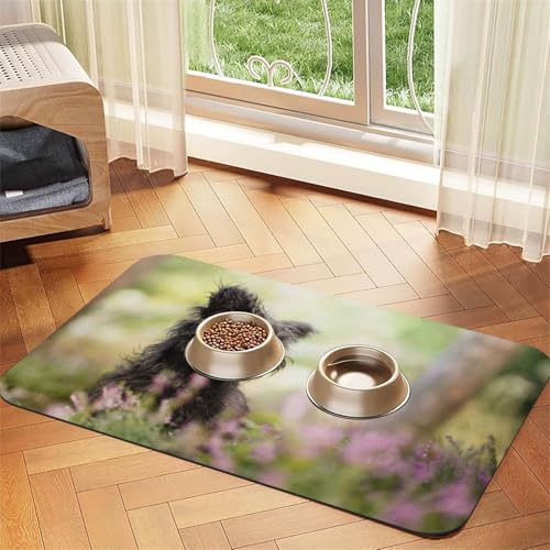 Affenpinscher Rasen Schwarze Hunde Monkey Terrier,Futtermatte für Haustiere, Tischsets aus PU-Leder für Katzen und Hunde,30x45cm Affenpinscher Rasen Schwarze Hunde Monkey Terrier,Futtermatte für Haustiere, Tischsets aus PU-Leder für Katzen und Hunde,30x45cm von InOmak