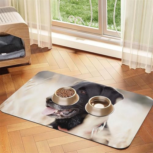 Animal Labrador Dog,Waterproof Pet Feeding Mat,PU Leather Placemats for Cat Dog Water Bowl,Food Mats,30x45cm von InOmak