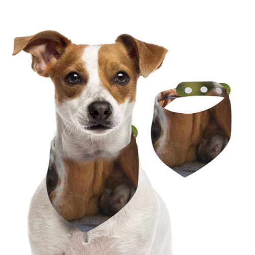 Basset, Hundehalstücher, Baumwoll-Haustierschal, verstellbare Lätzchen für Haustiere,M Basset, Hundehalstücher, Baumwoll-Haustierschal, verstellbare Lätzchen für Haustiere,M von InOmak