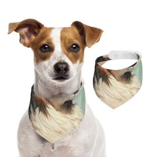 Berner Sennenhund Realistisches Portrait Berner, Hundehalstücher, Baumwoll-Haustierschal, verstellbare Lätzchen für Haustiere,L Berner Sennenhund Realistisches Portrait Berner, Hundehalstücher, Baumwoll-Haustierschal, verstellbare Lätzchen für Haustiere,L von InOmak