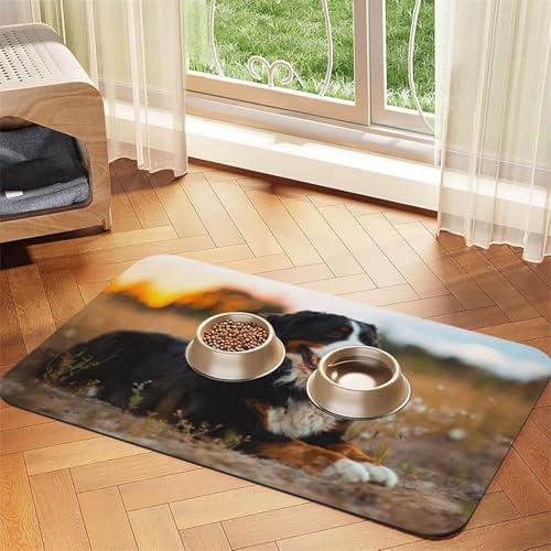 Bernese Mountain Dog,Waterproof Pet Feeding Mat,PU Leather Placemats for Cat Dog Water Bowl,Food Mats,40x60cm von InOmak