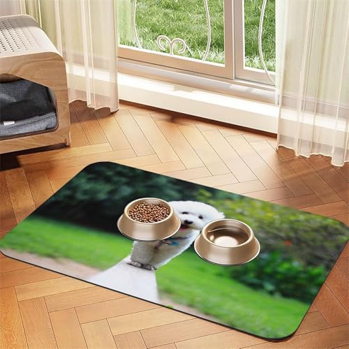 Bichon Frise Bokeh Pets Dogs Park White Dogs,Waterproof Pet Feeding Mat,PU Leather Placemats for Cat Dog Water Bowl,Food Mats,40x60cm Bichon Frise Bokeh Pets Dogs Park White Dogs,Waterproof Pet Feeding Mat,PU Leather Placemats for Cat Dog Water Bowl,Food Mats,40x60cm von InOmak