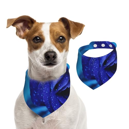 Blaue Rose, Hundehalstücher, Baumwoll-Haustierschal, verstellbare Lätzchen für Haustiere,M Blaue Rose, Hundehalstücher, Baumwoll-Haustierschal, verstellbare Lätzchen für Haustiere,M von InOmak
