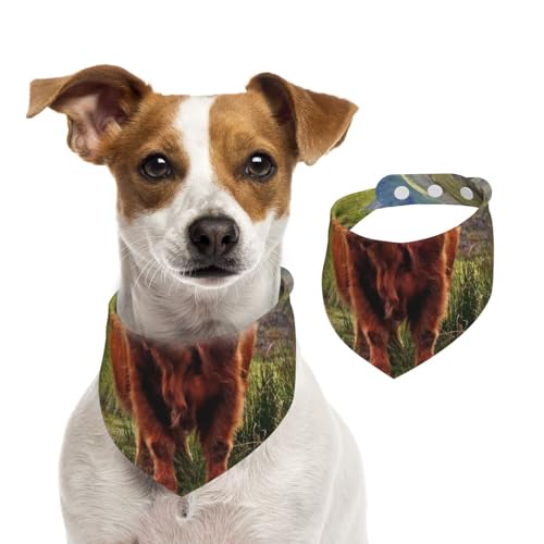 Braunes Hochlandrind, Hundehalstücher, Baumwoll-Haustierschal, verstellbare Lätzchen für Haustiere,M Braunes Hochlandrind, Hundehalstücher, Baumwoll-Haustierschal, verstellbare Lätzchen für Haustiere,M von InOmak