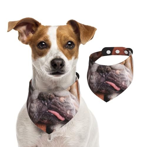Englische Bulldoggen Maulkorb Haustiere Schlafende Hunde, Hundehalstücher, Baumwoll-Haustierschal, verstellbare Lätzchen für Haustiere,L von InOmak