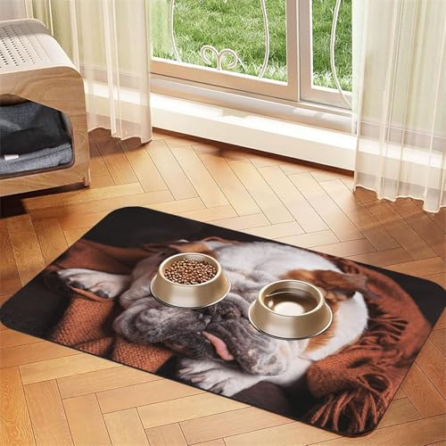 Englische Bulldoggen Maulkorb Haustiere Schlafende Hunde，Futtermatte für Haustiere, Tischsets aus PU-Leder für Katzen und Hunde,30x45cm von InOmak