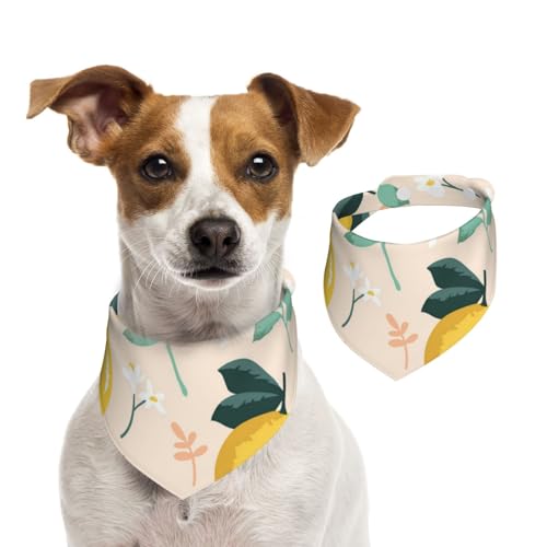 Frische gelbe Zitronen Sommerfrüchte, Hundehalstücher, Baumwoll-Haustierschal, verstellbare Lätzchen für Haustiere,S Frische gelbe Zitronen Sommerfrüchte, Hundehalstücher, Baumwoll-Haustierschal, verstellbare Lätzchen für Haustiere,S von InOmak