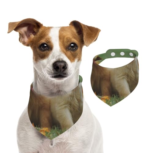 Gelbe Labrador Retriever Welpen, Hundehalstücher, Baumwoll-Haustierschal, verstellbare Lätzchen für Haustiere,M Gelbe Labrador Retriever Welpen, Hundehalstücher, Baumwoll-Haustierschal, verstellbare Lätzchen für Haustiere,M von InOmak