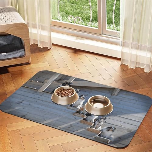 Hunde Border Collie Shetland Sheepdogs Alaskan，Futtermatte für Haustiere, Tischsets aus PU-Leder für Katzen und Hunde,30x45cm von InOmak