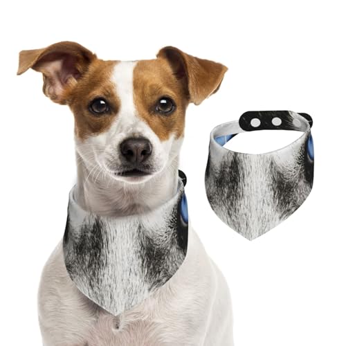 Husky Hund Blaue Augen, Hundehalstücher, Baumwoll-Haustierschal, verstellbare Lätzchen für Haustiere,M Husky Hund Blaue Augen, Hundehalstücher, Baumwoll-Haustierschal, verstellbare Lätzchen für Haustiere,M von InOmak