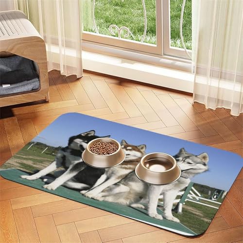 Husky Huskie Hunde,Futtermatte für Haustiere, Tischsets aus PU-Leder für Katzen und Hunde,30x45cm Husky Huskie Hunde,Futtermatte für Haustiere, Tischsets aus PU-Leder für Katzen und Hunde,30x45cm von InOmak