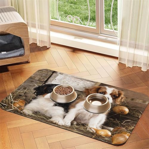 Kleine Welpen des Cavalier King Charles Spaniel,Futtermatte für Haustiere, Tischsets aus PU-Leder für Katzen und Hunde,40x60cm Kleine Welpen des Cavalier King Charles Spaniel,Futtermatte für Haustiere, Tischsets aus PU-Leder für Katzen und Hunde,40x60cm von InOmak