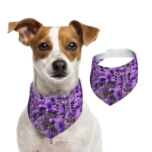 Lila Lavendel, Hundehalstücher, Baumwoll-Haustierschal, verstellbare Lätzchen für Haustiere,S Lila Lavendel, Hundehalstücher, Baumwoll-Haustierschal, verstellbare Lätzchen für Haustiere,S von InOmak