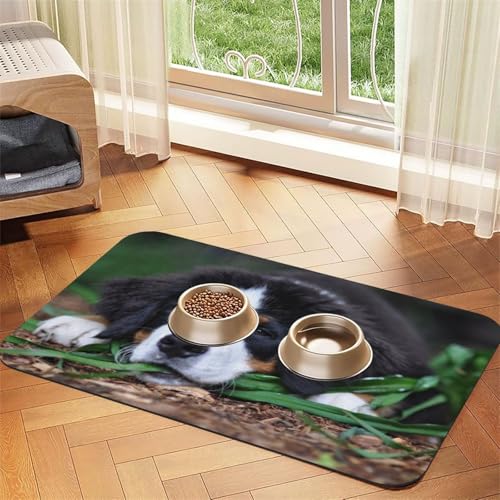 Lovely Bernese Mountain Dog,Waterproof Pet Feeding Mat,PU Leather Placemats for Cat Dog Water Bowl,Food Mats,40x60cm von InOmak