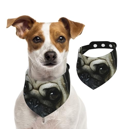 Mops Traurige Hunde Hunde Trauriger Mops Haustiere Mops, Hundehalstücher, Baumwoll-Haustierschal, verstellbare Lätzchen für Haustiere,S Mops Traurige Hunde Hunde Trauriger Mops Haustiere Mops, Hundehalstücher, Baumwoll-Haustierschal, verstellbare Lätzchen für Haustiere,S von InOmak