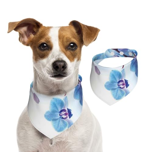 Orchideen Natürliche Blumen, Hundehalstücher, Baumwoll-Haustierschal, verstellbare Lätzchen für Haustiere,L Orchideen Natürliche Blumen, Hundehalstücher, Baumwoll-Haustierschal, verstellbare Lätzchen für Haustiere,L von InOmak