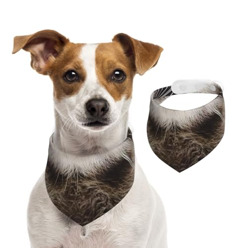 Roccoon Lustiges Tier, Hundehalstücher, Baumwoll-Haustierschal, verstellbare Lätzchen für Haustiere,M Roccoon Lustiges Tier, Hundehalstücher, Baumwoll-Haustierschal, verstellbare Lätzchen für Haustiere,M von InOmak