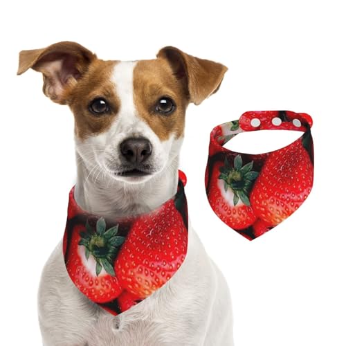 Rote Erdbeere, Hundehalstücher, Baumwoll-Haustierschal, verstellbare Lätzchen für Haustiere,M Rote Erdbeere, Hundehalstücher, Baumwoll-Haustierschal, verstellbare Lätzchen für Haustiere,M von InOmak