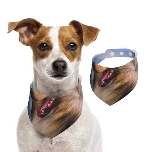 Schöner Langhaarcollie, Hundehalstücher, Baumwoll-Haustierschal, verstellbare Lätzchen für Haustiere,M Schöner Langhaarcollie, Hundehalstücher, Baumwoll-Haustierschal, verstellbare Lätzchen für Haustiere,M von InOmak