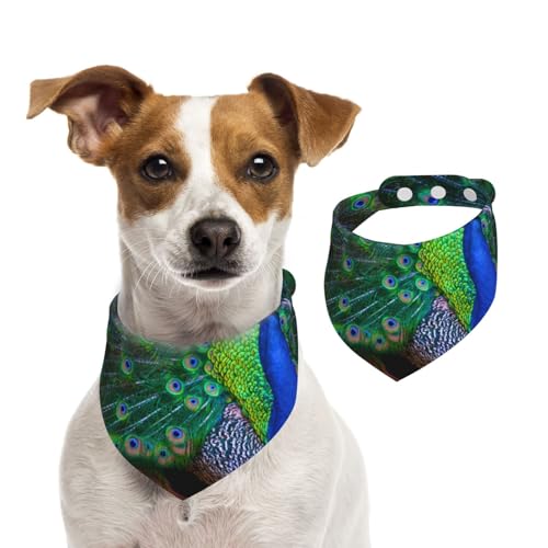 Schöner Pfau, Hundehalstücher, Baumwoll-Haustierschal, verstellbare Lätzchen für Haustiere,M Schöner Pfau, Hundehalstücher, Baumwoll-Haustierschal, verstellbare Lätzchen für Haustiere,M von InOmak
