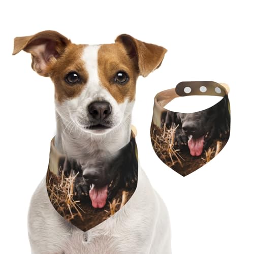 Schwarzer Deutscher Schäferhund Rasen Bokeh Deutsch, Hundehalstücher, Baumwoll-Haustierschal, verstellbare Lätzchen für Haustiere,L Schwarzer Deutscher Schäferhund Rasen Bokeh Deutsch, Hundehalstücher, Baumwoll-Haustierschal, verstellbare Lätzchen für Haustiere,L von InOmak