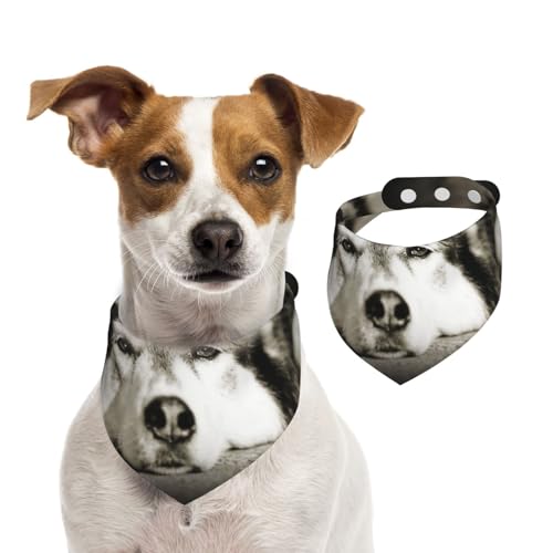 Sibirischer Husky, Hundehalstücher, Baumwoll-Haustierschal, verstellbare Lätzchen für Haustiere,S Sibirischer Husky, Hundehalstücher, Baumwoll-Haustierschal, verstellbare Lätzchen für Haustiere,S von InOmak