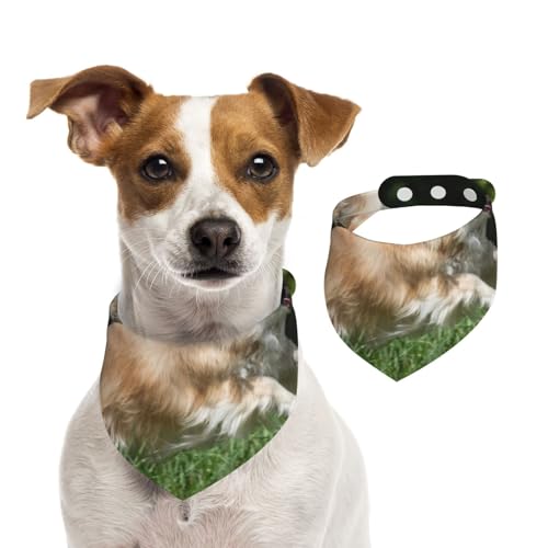 Spielendes Chihuahua-Muster, Hundehalstücher, Baumwoll-Haustierschal, verstellbare Lätzchen für Haustiere,M Spielendes Chihuahua-Muster, Hundehalstücher, Baumwoll-Haustierschal, verstellbare Lätzchen für Haustiere,M von InOmak