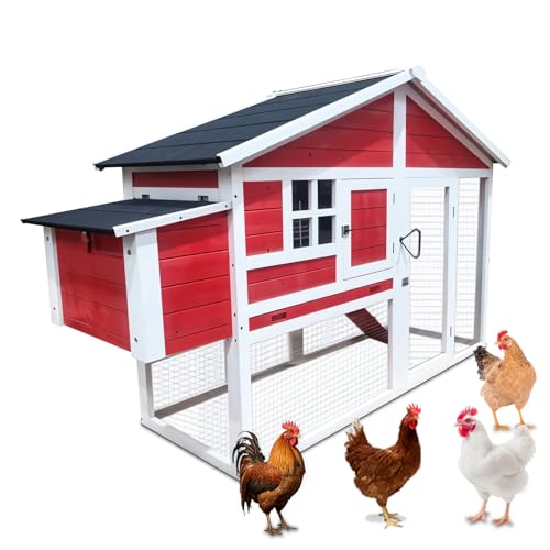 In The Market - Eggs R Us Hühnerstall, 188x70x118 cm, 4-6 Vögel, Bauernhaus-Design, Rot von InTheMarket