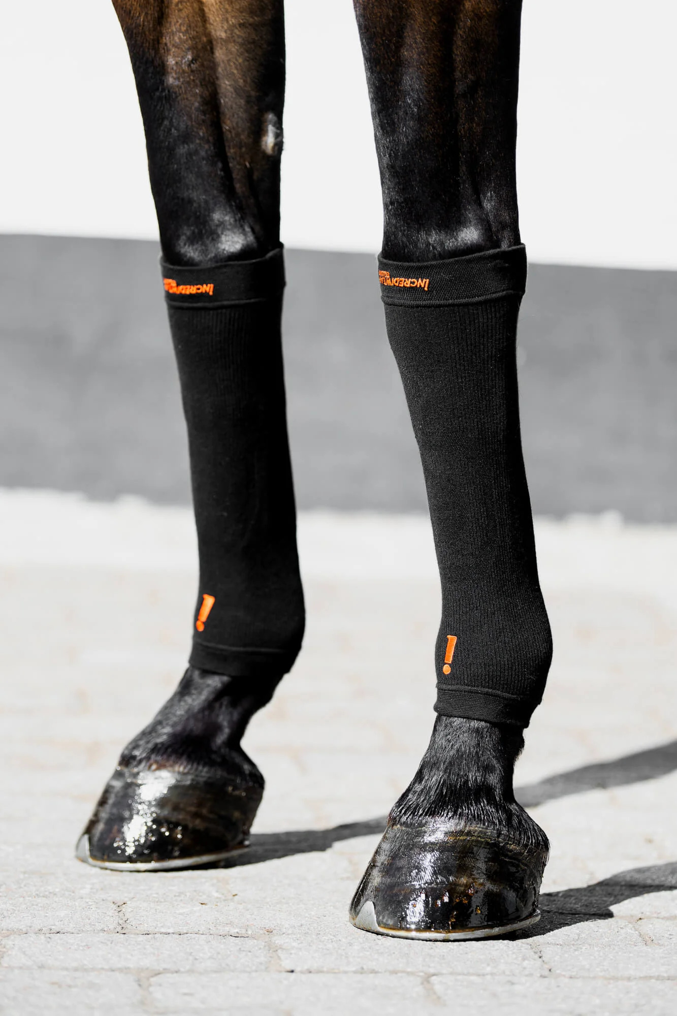 Incrediwear Equine Hoof Socks One Size, schwarz Zur Regeneration und Heilung Incrediwear Equine Hoof Socks One Size, schwarz Zur Regeneration und Heilung von Incrediwear Equine