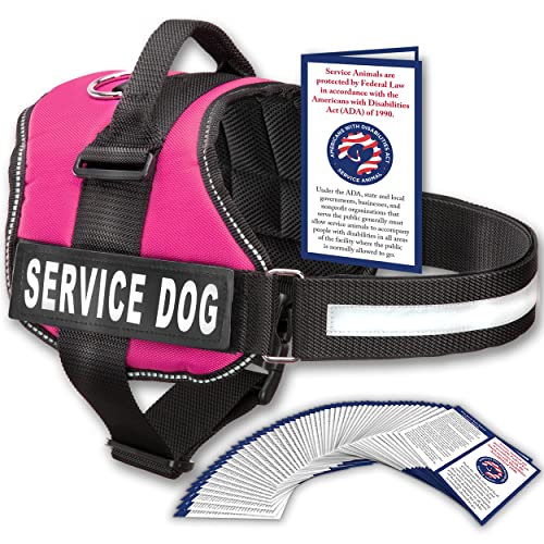 Industrial Puppy Service-Hundeweste mit Klettverschluss und Griff – Geschirr ist in 8 Größen von XXXS bis XXL erhältlich – Service-Hundegeschirr mit reflektierendem Patch und komfortablem Mesh-Design Industrial Puppy Service-Hundeweste mit Klettverschluss und Griff – Geschirr ist in 8 Größen von XXXS bis XXL erhältlich – Service-Hundegeschirr mit reflektierendem Patch und komfortablem Mesh-Design von Industrial Puppy