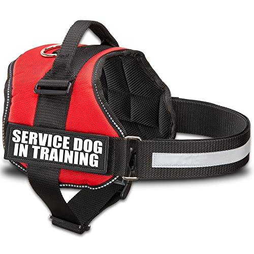 Industrial Puppy Servicehund in der Trainingsweste mit Klettbändern und Griff – Geschirre in Größen von XXS bis XXL – Serviceweste mit reflektierendem Patch und komfortablem Netzdesign Industrial Puppy Servicehund in der Trainingsweste mit Klettbändern und Griff – Geschirre in Größen von XXS bis XXL – Serviceweste mit reflektierendem Patch und komfortablem Netzdesign von Industrial Puppy