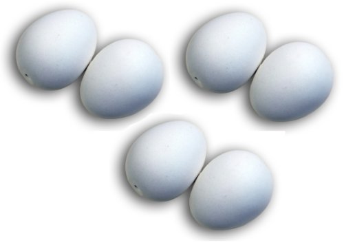 Ingbertson 6 Nesteier aus Gips für Bruthilfe oder Osterdekoration von Ingbertson