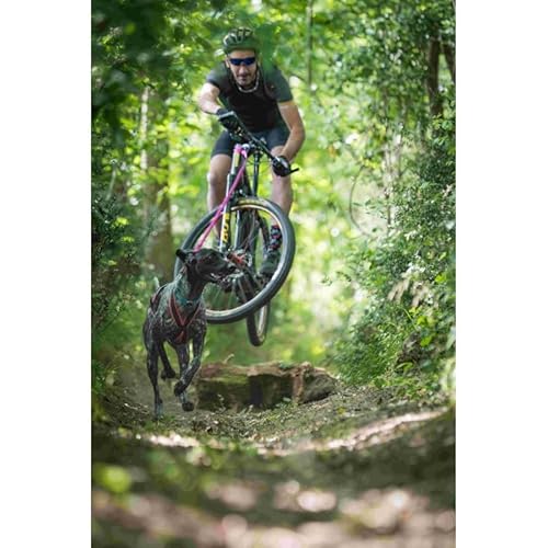 Inlandsis Cani-Mountainbike-Leine, Bikejoring Bikejor Leine Inlandsis Cani-Mountainbike-Leine, Bikejoring Bikejor Leine von Inlandsis