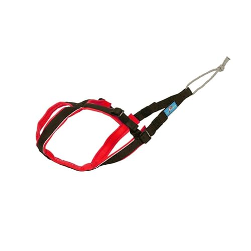 Inlandsis Canicross Geschirr für kleine Hunde, Open-Back Inlandsis Canicross Geschirr für kleine Hunde, Open-Back von Inlandsis
