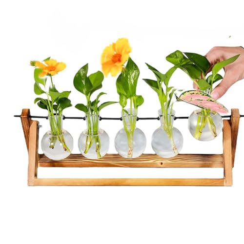 Glas Pflanzer Station mit Holzständer - Innjoii Desktop Pflanzenvermehrung Terrarium mit 5 Glühbirnen Vasen Retro Solid für die Vermehrung von Hydrokulturpflanzen Hochzeit Mittelstück Büro Home Decor von Innjoii