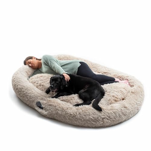 InnovaGoods Cloft Hundebett, großes Hundebett, Polyestergewebe, Anti-Stress-Hundebett, maximale Entspannung und Ruhe, Hundebett mit abnehmbarem und waschbarem Bezug. Farbe beige. von InnovaGoods