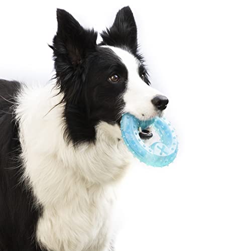InnovaGoods - Gefrierfähiges 2-in-1 Beißspielzeug Glubiz für Haustiere, Erfrischend, Zahnpflege, Robust, Vielseitig, TPR, Blau von InnovaGoods