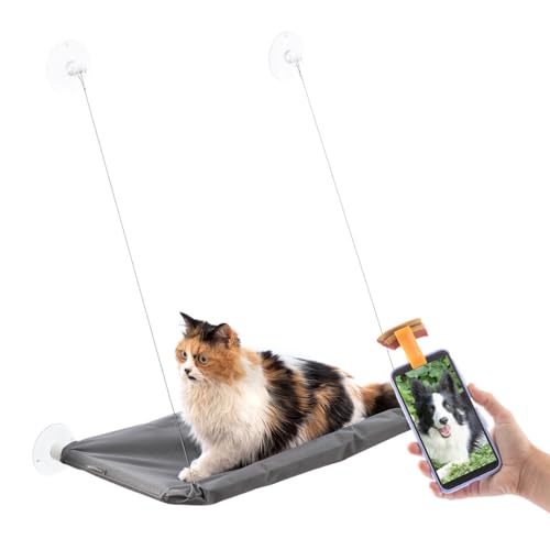 InnovaGoods Hängematte für Katzen, Hängematte mit Saugnäpfen bietet Komfort und Sicherheit für Ihre Katze, inklusive Selfie-Clip für Haustiere, kompatibel mit Smartphones und Kamera von InnovaGoods